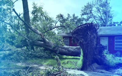 Disaster Relief